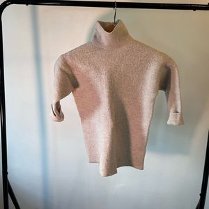 Babaton ARITZIA turtleneck